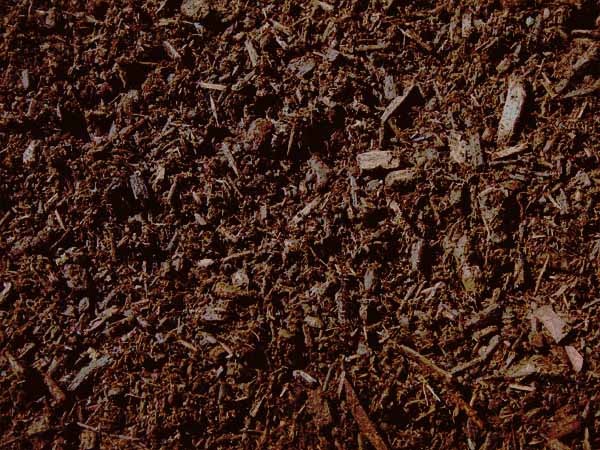 REV 6 23 22 BWN Mul no logo