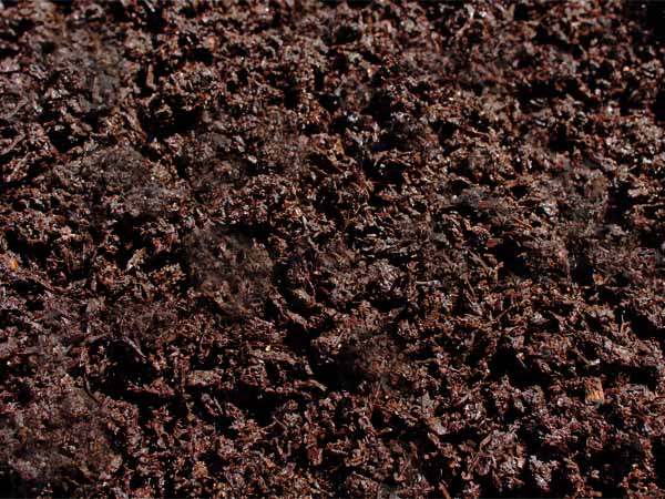 Sweet Peet ADJ 6 23 22 No logo